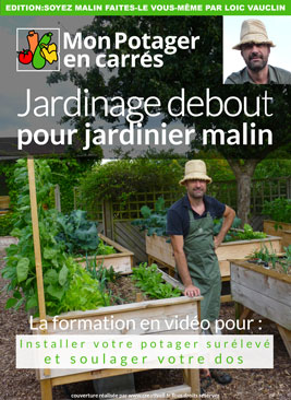 Jardinage debout pour jardinier malin (French Edition)